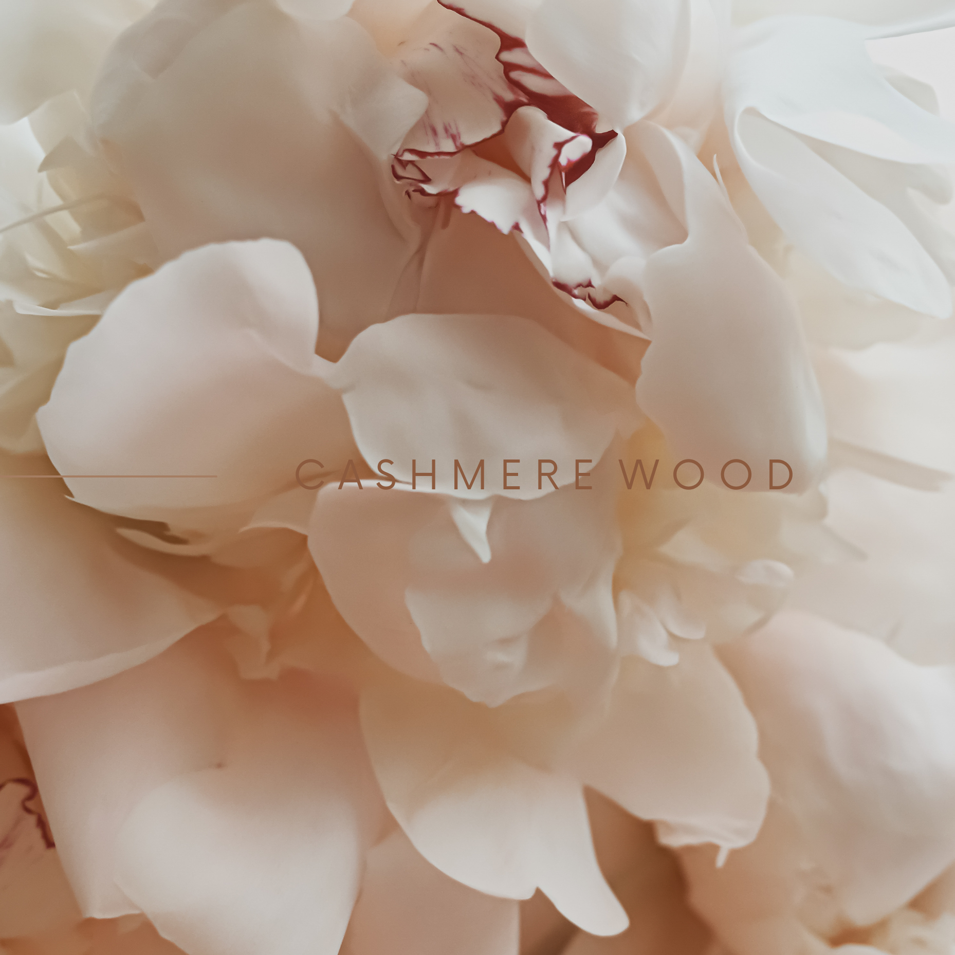 SCENT No 3, CASHMERE WOOD