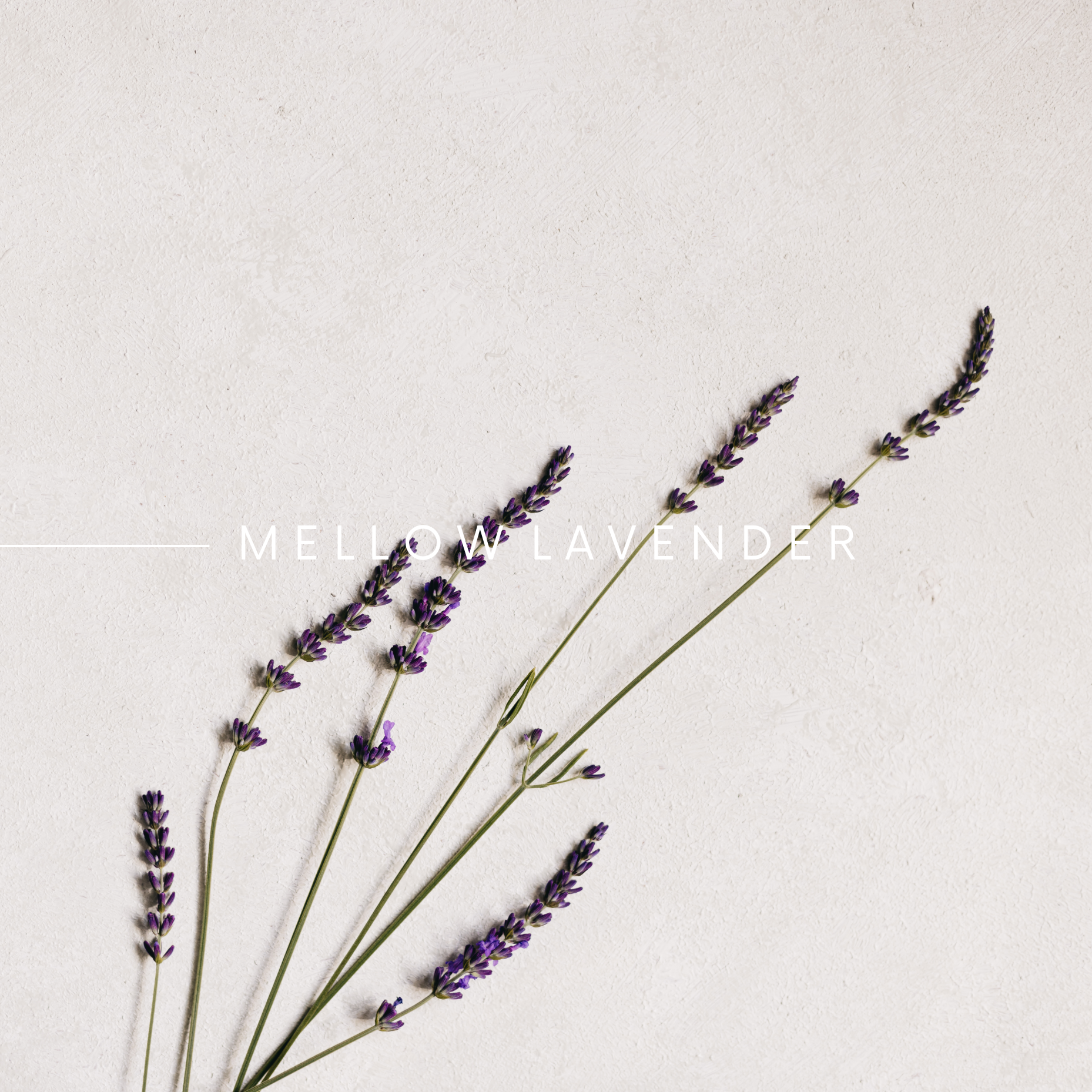 SCENT No 4, MELLOW LAVENDER